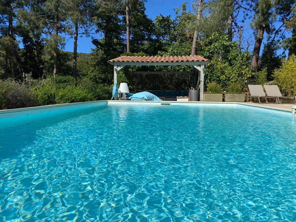 Villa Limone, Maison D'Hotes Calenzana Exteriér fotografie