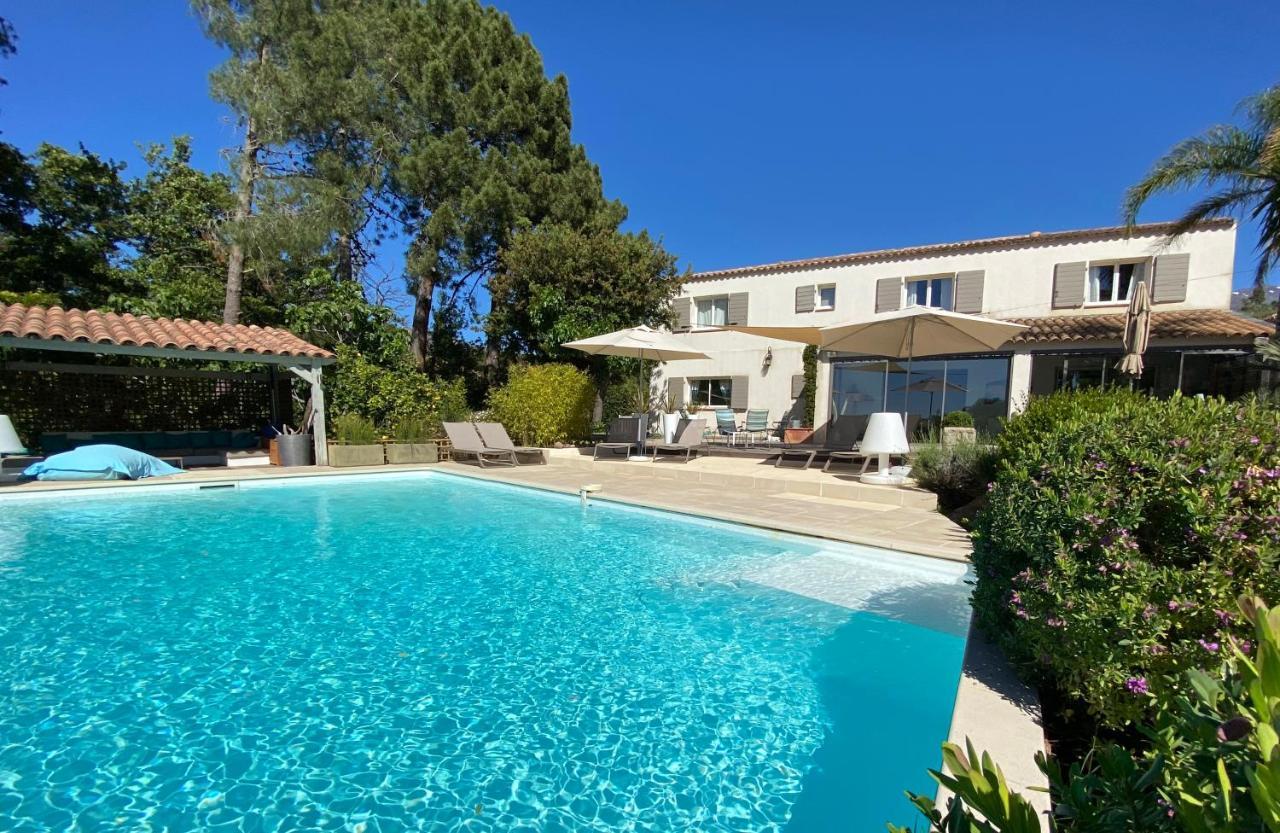 Villa Limone, Maison D'Hotes Calenzana Exteriér fotografie